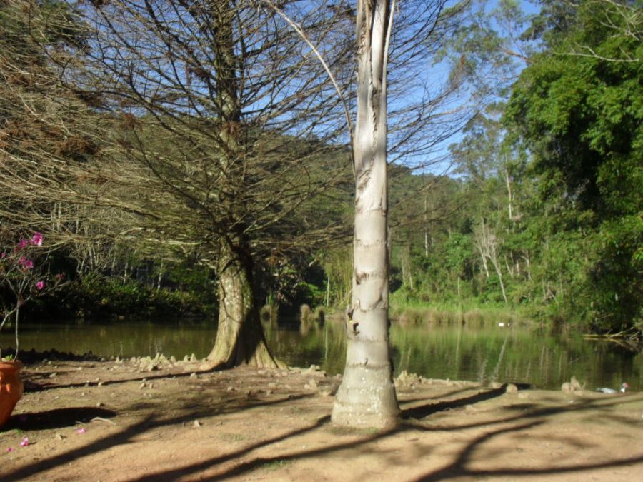image01